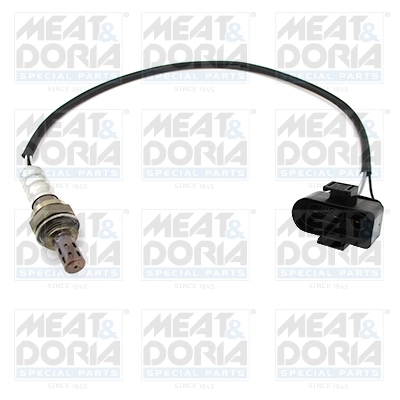 Oxygen Sensor